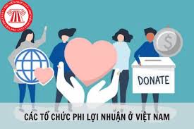 tổ chức phi lợi nhuận